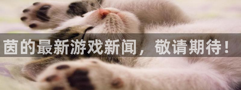 优贝娱乐咨询：茵的最新游戏新闻，敬请期待！
