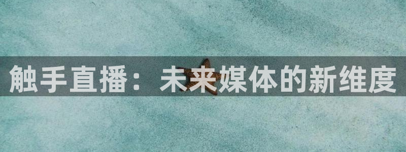 球神直播体育免费观看：触手直播：未来媒体的新维度