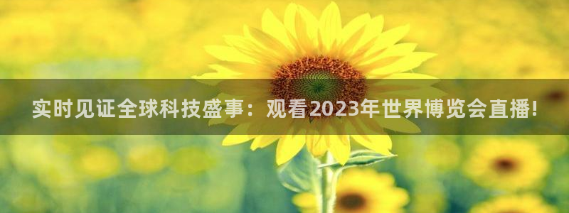 球神体育直播在线：实时见证全球科技盛事：观看2023年世界博览会直播!