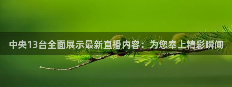 球神直播体育在线观看：中央13台全面展示最新直播内容：为您奉上精彩瞬间