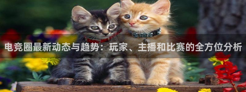 优贝娱乐：电竞圈最新动态与趋势：玩家、主播和比赛的全方位分析