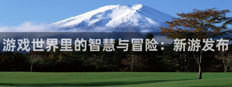 优贝娱乐注册登录：游戏世界里的智慧与冒险：新游发布