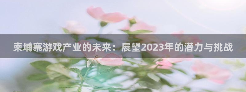 优贝娱乐怎么注册：柬埔寨游戏产业的未来：展望2023年的潜力