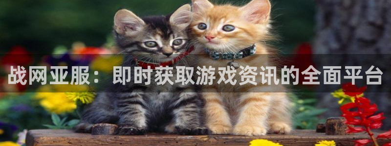 优贝娱乐平台登录入口：战网亚服：即时获取游戏资讯的全面平台