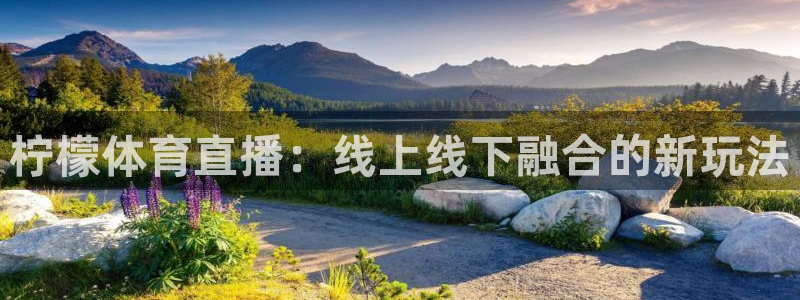 球神直播体育在线观看足球：柠檬体育直播：线上线下融合的新玩法