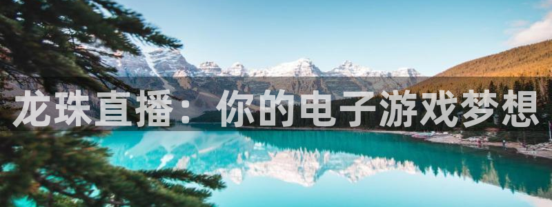 球神直播网：龙珠直播：你的电子游戏梦想