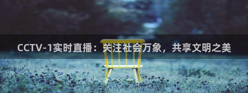 球神体育直播官网：CCTV-1实时直播：关注社会万象，共享文明之美