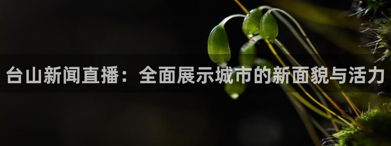 球神直播体育免费观看：台山新闻直播：全面展示城市的新面貌与活力